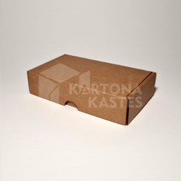 17 x 10 x 4 cm - kartona kastes