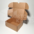 22.5 x 18 x 10 cm - kartona kastes