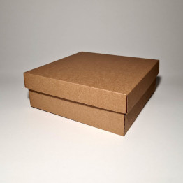 25 x 25 x 10 cm - kartona kastes ar vāku
