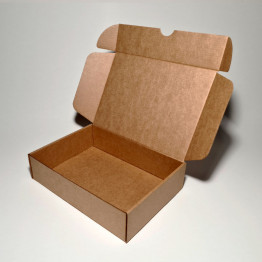 22 x 16 x 5.5 cm - kartona kastes