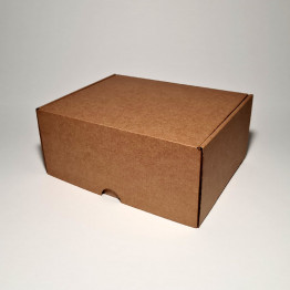 22.5 x 18 x 10 cm - kartona kastes