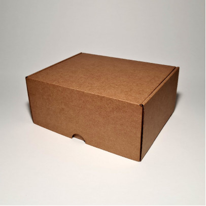 22.5 x 18 x 10 cm - kartona kastes