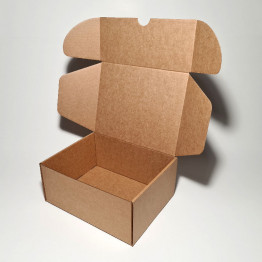 22.5 x 18 x 10 cm - kartona kastes